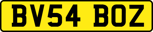 BV54BOZ