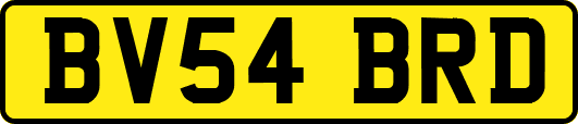 BV54BRD