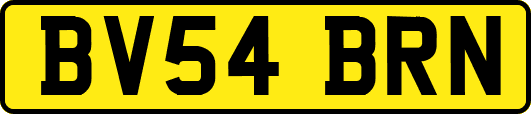 BV54BRN
