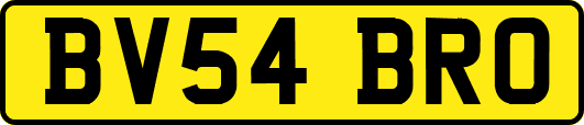 BV54BRO
