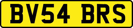 BV54BRS