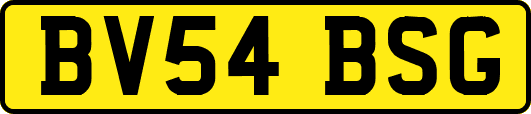 BV54BSG