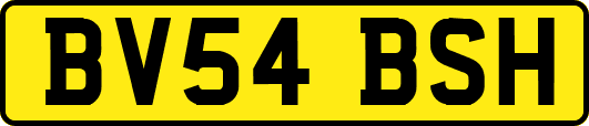 BV54BSH