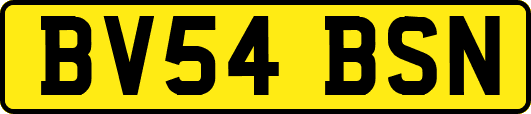 BV54BSN