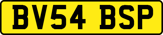 BV54BSP