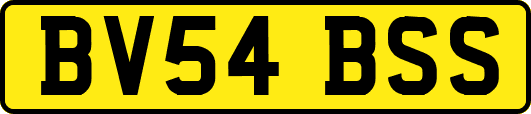 BV54BSS