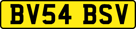 BV54BSV