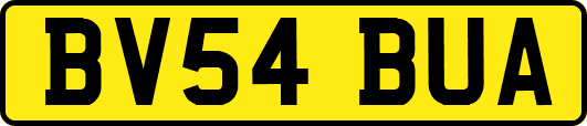 BV54BUA