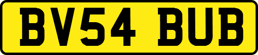 BV54BUB