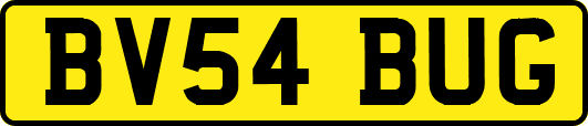 BV54BUG