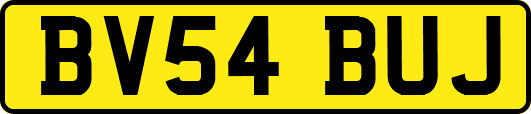 BV54BUJ