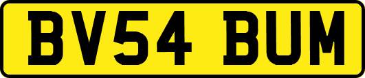 BV54BUM