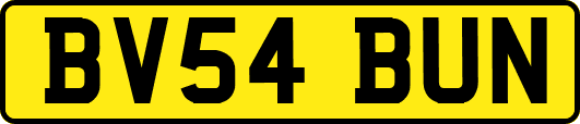 BV54BUN