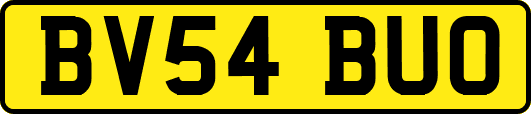 BV54BUO