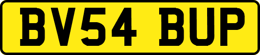 BV54BUP