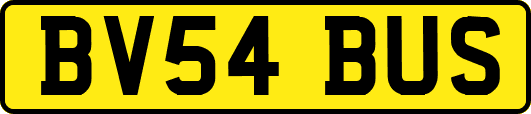BV54BUS