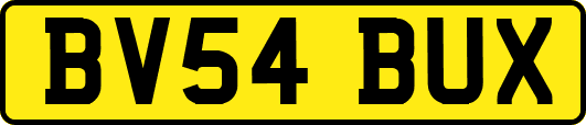 BV54BUX
