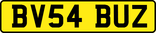 BV54BUZ