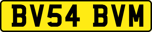 BV54BVM