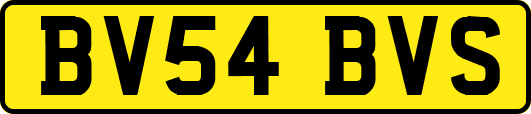 BV54BVS