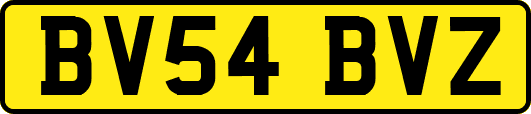 BV54BVZ