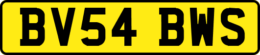 BV54BWS