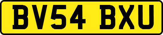 BV54BXU