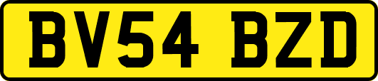 BV54BZD