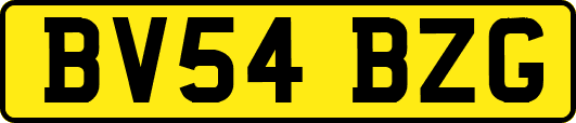 BV54BZG