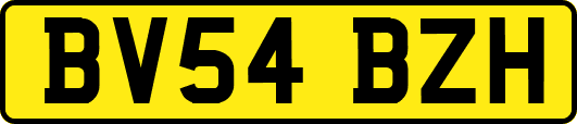 BV54BZH