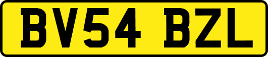 BV54BZL