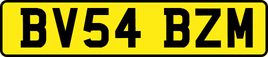 BV54BZM