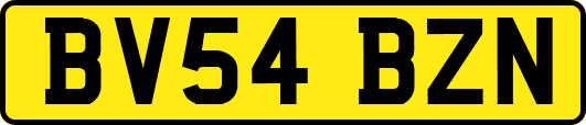 BV54BZN