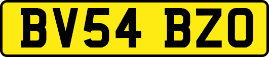 BV54BZO