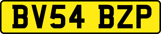 BV54BZP
