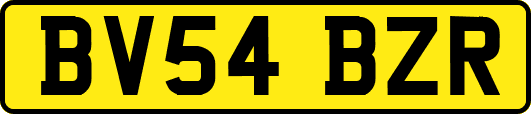 BV54BZR