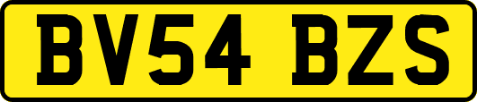 BV54BZS