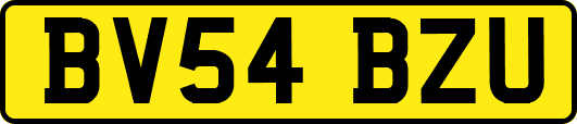 BV54BZU