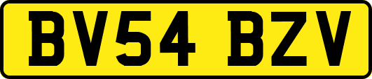 BV54BZV