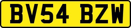BV54BZW