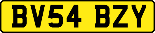 BV54BZY