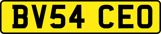 BV54CEO