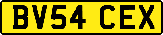 BV54CEX