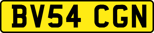 BV54CGN
