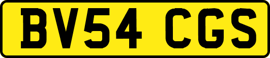 BV54CGS