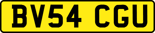 BV54CGU