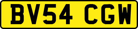 BV54CGW