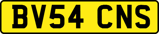 BV54CNS
