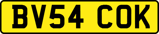 BV54COK