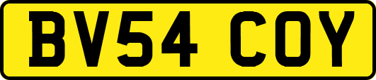 BV54COY